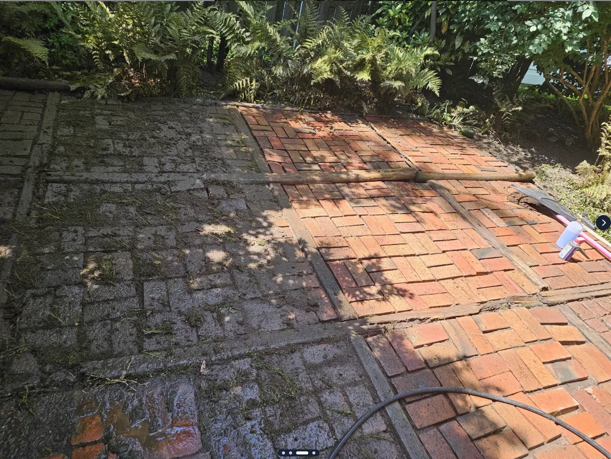 Brick patio mid-clean: heavy green moss on the left, restored red brick on the right