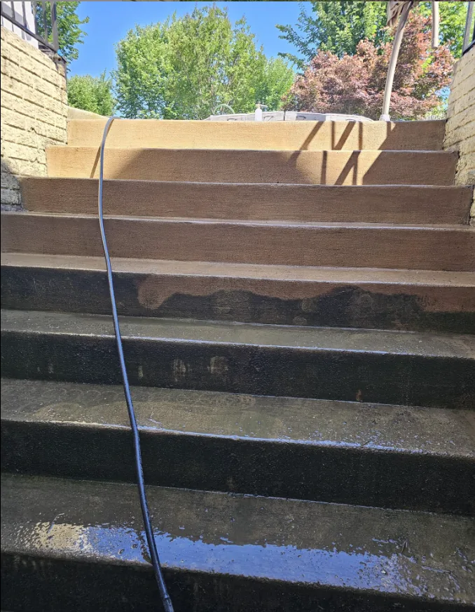 Concrete front stairs, lower treads still dark with grime and upper treads washed clean